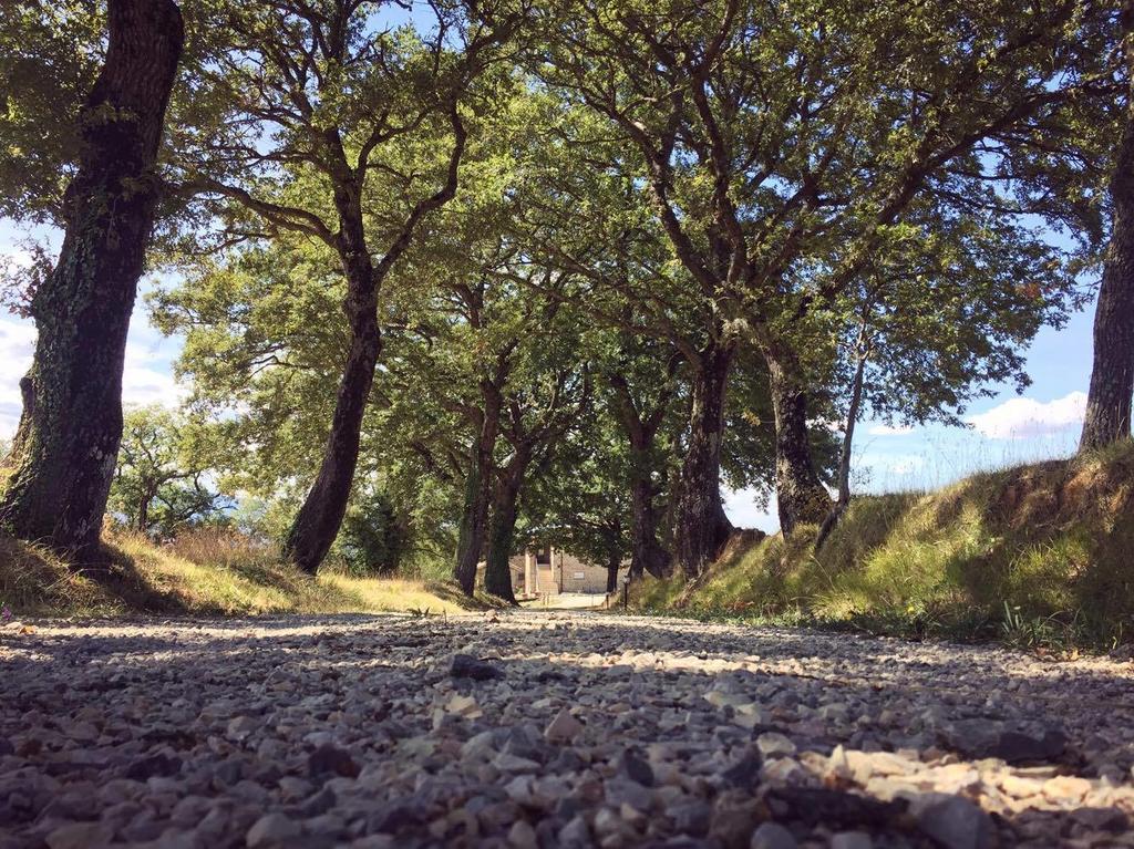 Agriturismo Ipoderi К'янчіано-Терме Екстер'єр фото