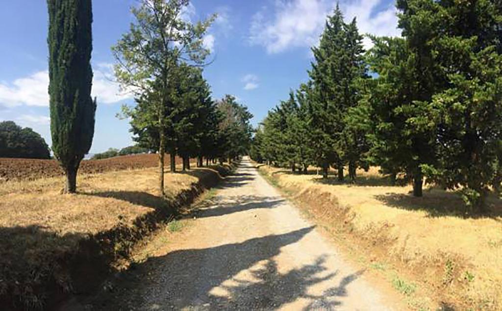 Agriturismo Ipoderi К'янчіано-Терме Екстер'єр фото